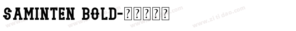 Saminten Bold字体转换